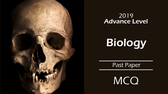 2019_AL_Bio_PP.png