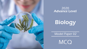 2020_bio_2.png