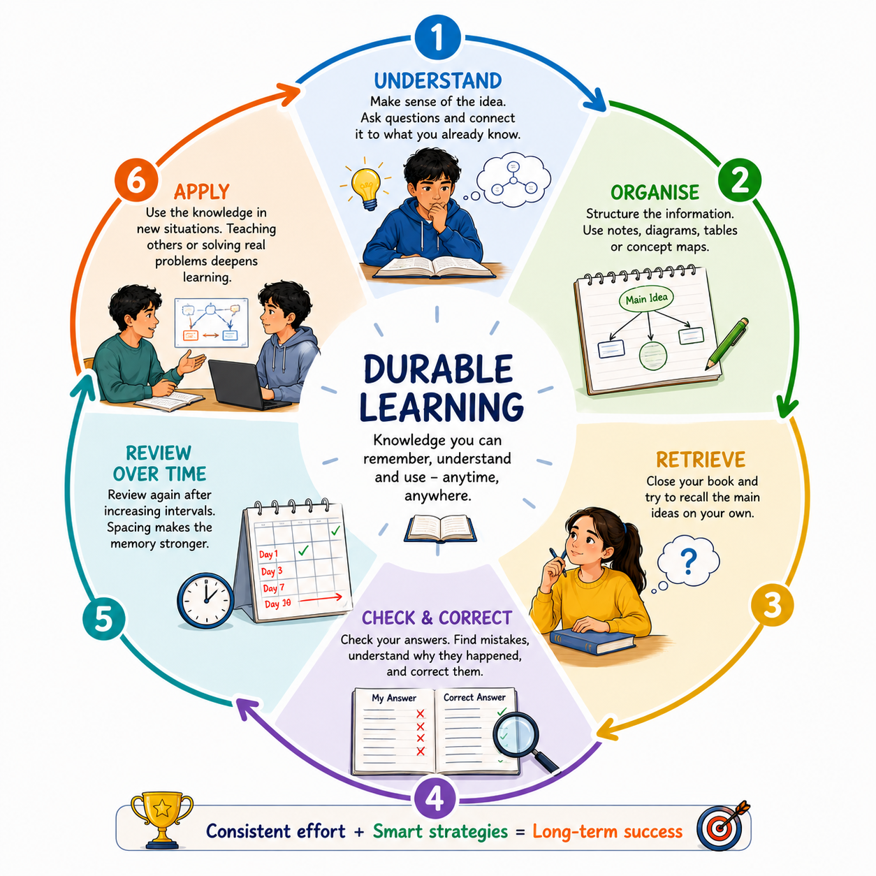 Circular study process showing understanding, organisation, retrieval, correction, review and application.